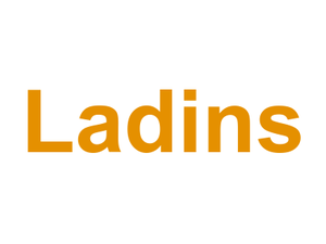 Ladin's Logo