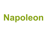 Napoleon Logo