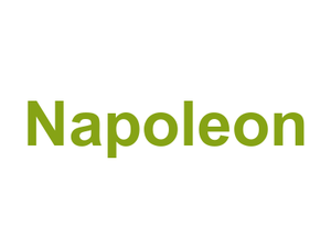 Napoleon Logo