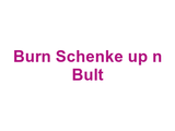 Burn Schenke up n Bult Logo