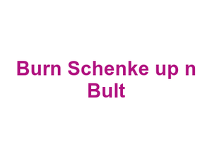 Burn Schenke up n Bult Logo