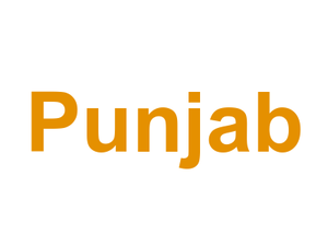 Punjab Logo