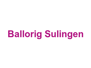 Ballorig Sulingen Logo