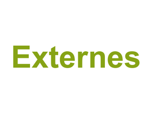 Externes Logo