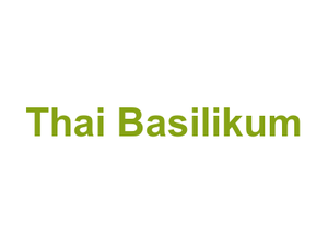 Thai Basilikum Logo