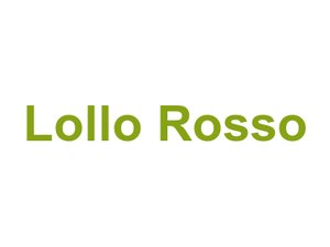 Lollo Rosso Logo