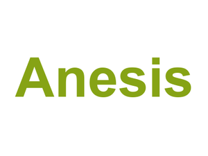 Anesis Logo