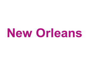 New Orleans Logo