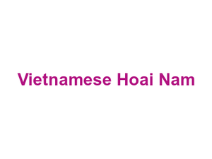 Vietnamese Hoai Nam Logo