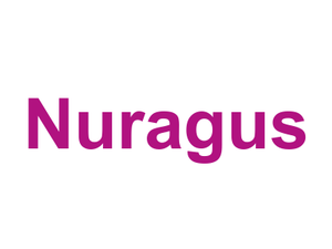 Nuragus Logo