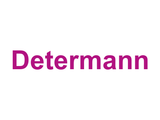 Determann Logo