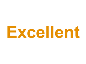 Excellent Logo