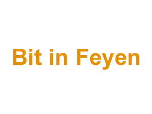 Bit in Feyen Logo