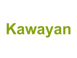 Kawayan Logo