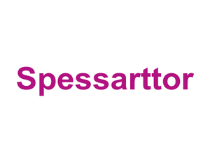 Spessarttor Logo