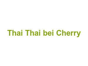 Thai Thai bei Cherry Logo