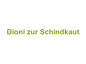 Dioni zur Schindkaut Logo