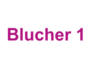 Blucher 1 Logo