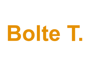 Bolte T. Logo