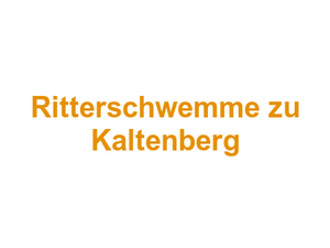 Ritterschwemme zu Kaltenberg Logo