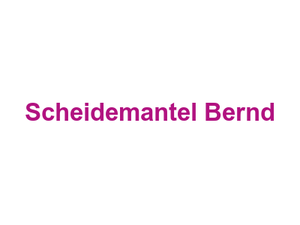 Scheidemantel Bernd Logo