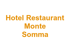 Hotel Restaurant Monte Somma Logo