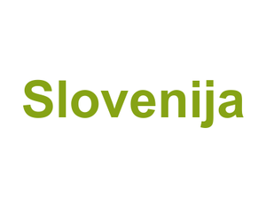 Slovenija Logo