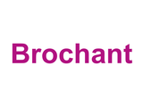 Brochant Logo