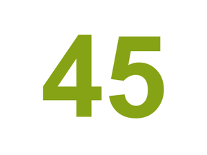45 Logo