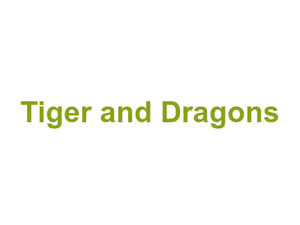 Tiger and Dragon's Logo