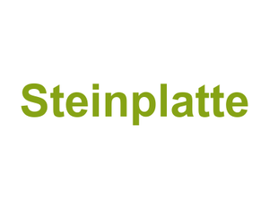 Steinplatte Logo