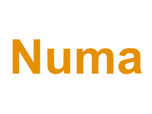Numa Logo