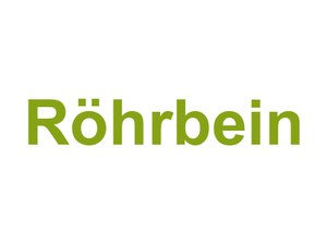 Röhrbein Logo