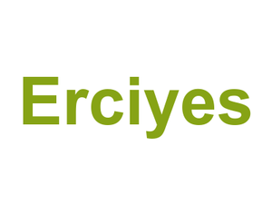 Erciyes Logo
