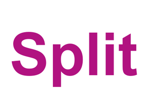Split Logo