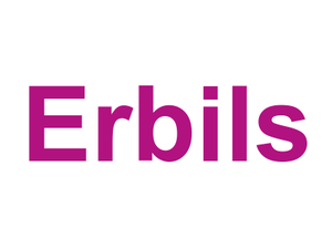 Erbils Logo