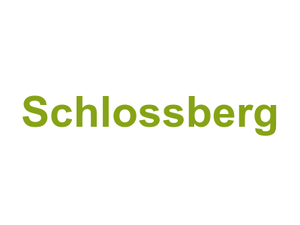 Schlossberg Logo