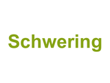Schwering Logo