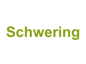Schwering Logo