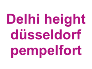 Delhi height düsseldorf pempelfort Logo