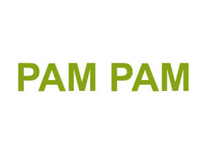 PAM PAM Logo