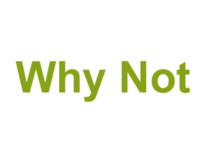 Why Not Logo
