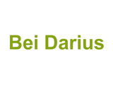 Bei Darius Logo