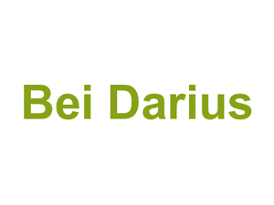 Bei Darius Logo