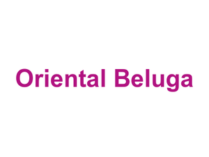 Oriental Beluga Logo