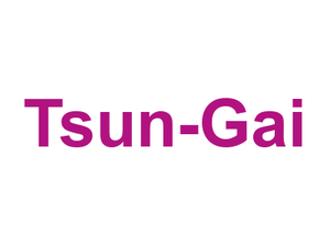 Tsun-Gai Logo