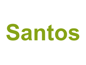 Santos Logo