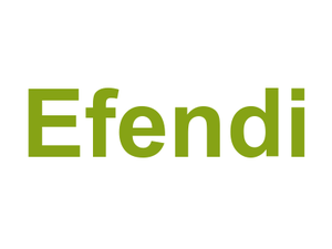 Efendi Logo