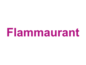 Flammaurant Logo