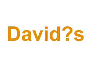 David‘s Logo